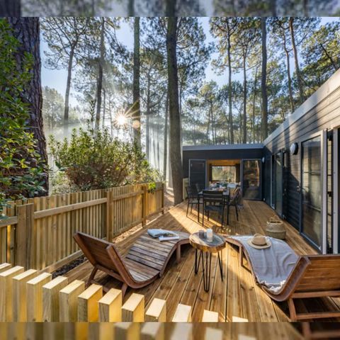 UNIEKE ACCOMMODATIE 6 personen - Tiny huis Confort - 3 slaapkamers - 2 badkamers met douche