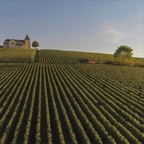Arden Parks Signy-L'Abbaye - Ardennen - Afbeelding N°6