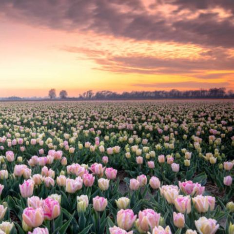 Chalet 5 personen - J 087