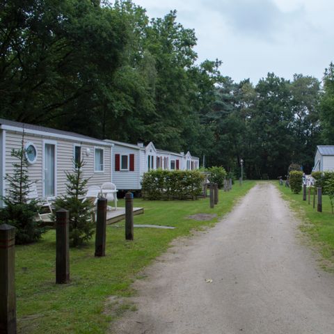 Stacaravan 4 personen - Cottage