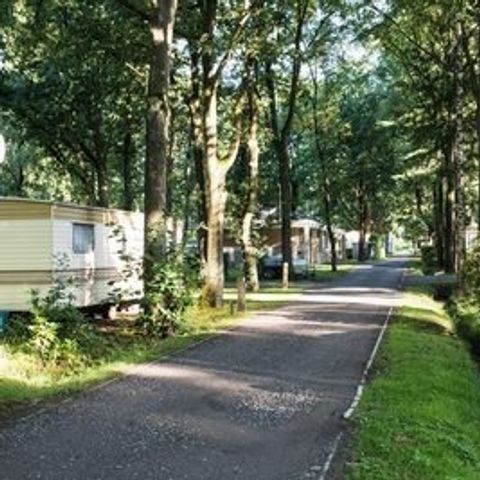 Floreal Holidays Camping Het Veen - West-Vlaanderen - Afbeelding N°5