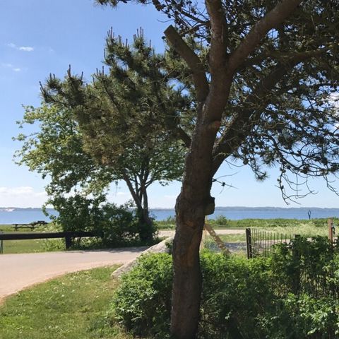 Vodatent Rosenvold Strand Camping - Jutland-Central - Afbeelding N°4