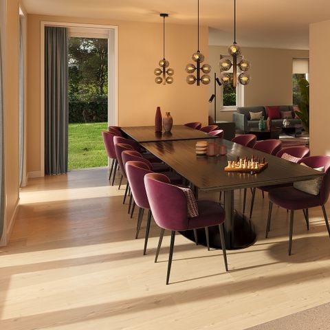 VAKANTIEHUIS 14 personen - Kleine Vliet