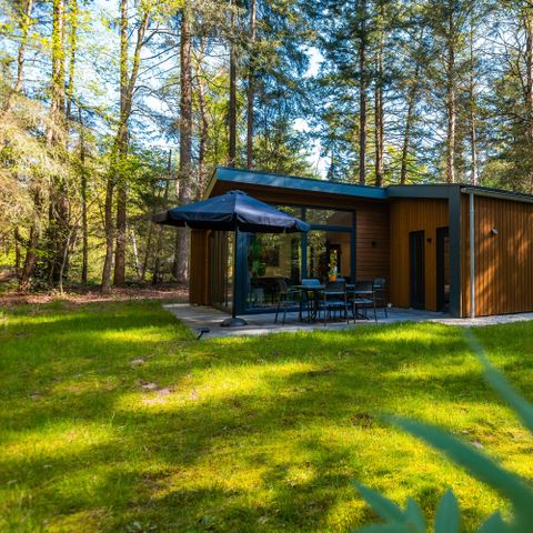 Lodge 6 personen - Zandborg met Sauna