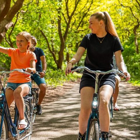 Vakantiepark De Wiltzangh - De Wolden - Afbeelding N°4