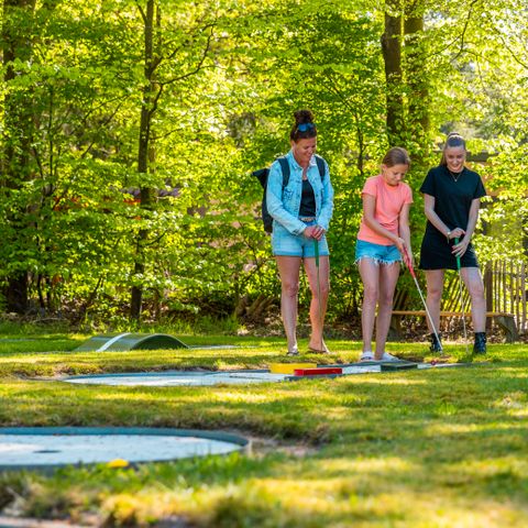 Vakantiepark De Wiltzangh - De Wolden - Afbeelding N°3