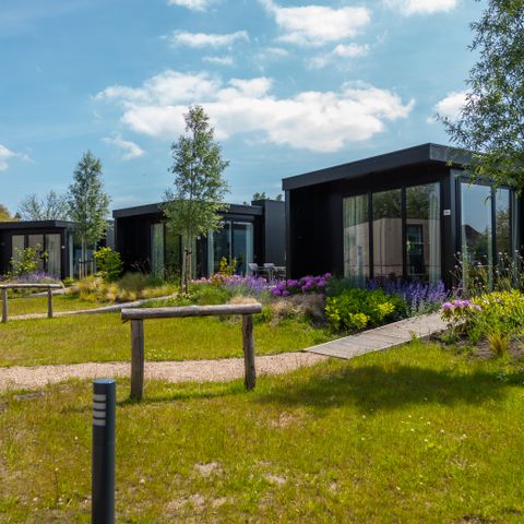 Lodge 5 personen - Rietland