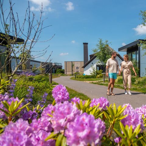 Vakantiepark De Wiedense Meren - Camping Steenwijkerland - Afbeelding N°3