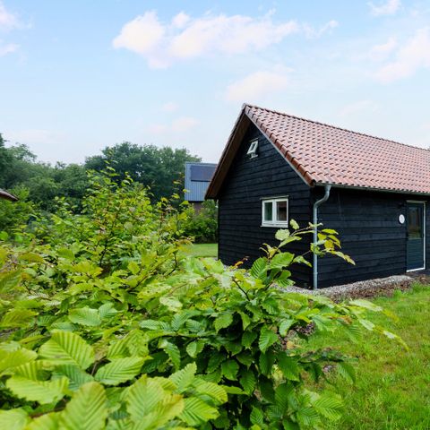 VAKANTIEHUIS 4 personen - Boshuisje Luna