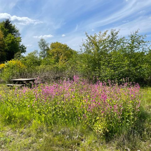 Bungalow 2 personen - De Rode Braam