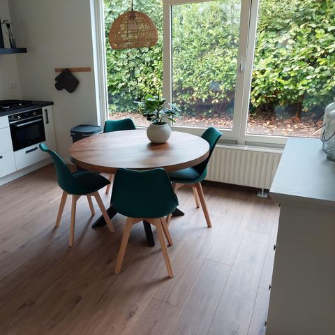 Bungalow 4 personen - Dopheide