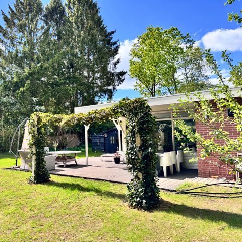 Bungalow 4 personen - Vlinderstruik