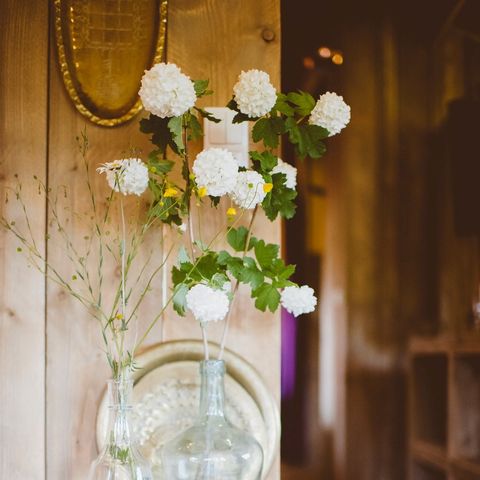 Safaritent 6 personen - incl. sanitair