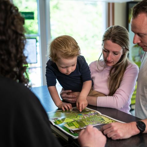 Camping Roland - Bergen - Afbeelding N°6