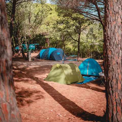 Camping Ladouceur - Ramatuelle Saint Tropez - Var - Afbeelding N°5