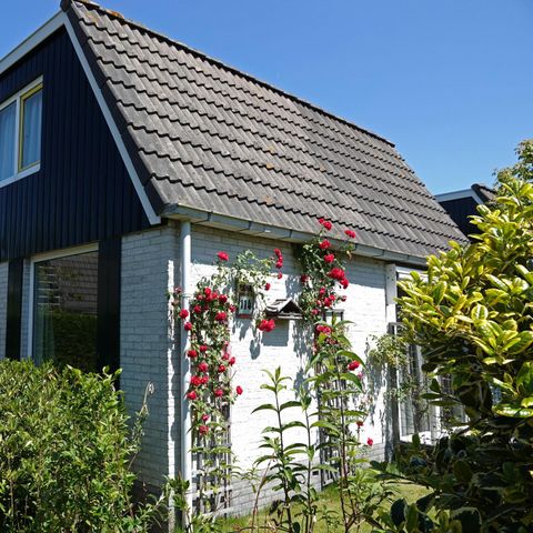 Bungalow 6 personen - Duin 114
