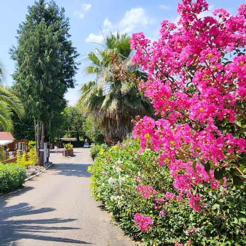 Camping City Nature - Pyrénées-Atlantiques - Afbeelding N°2