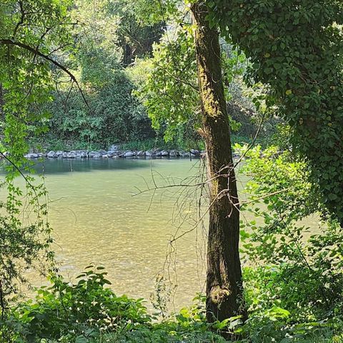 Stacaravan 4 personen - Stacaravan 2 slaapkamers 2 badkamers - Lescar MH D019