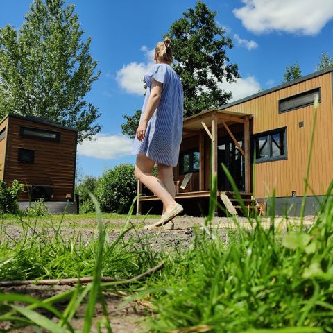Tiny House 4 personen - Tiny Greenhouse (2+2)