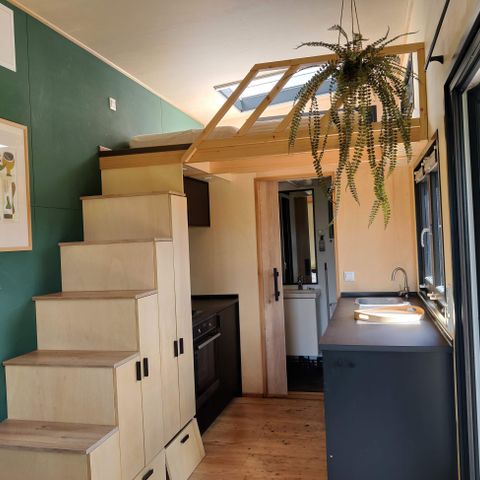 UNIEKE ACCOMMODATIE 4 personen - Tiny Greenhouse (2+2)