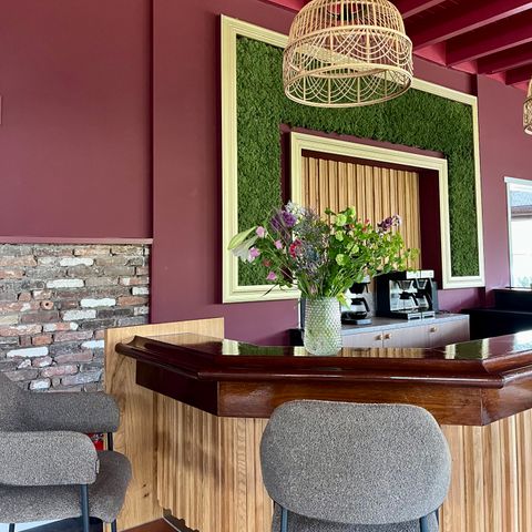 VAKANTIEHUIS 36 personen - Hoofdgebouw 20 personen + 4 Tiny Greenhouses