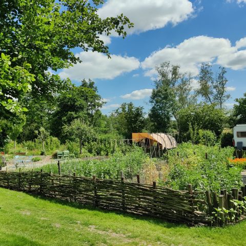 Boetiekpark de Kas - Scherpenzeel - Afbeelding N°2