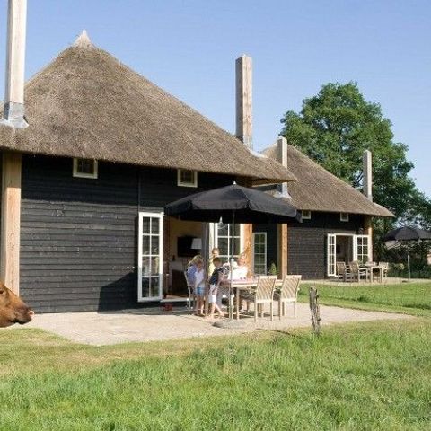 VAKANTIEHUIS 5 personen - Reggehooiberg