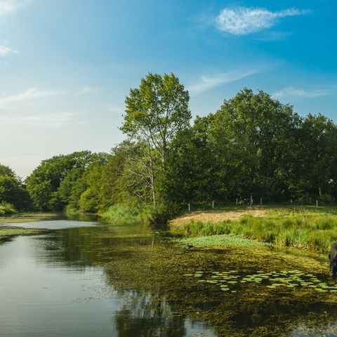 VAKANTIEHUIS 5 personen - Reggehooiberg