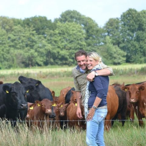 Erve Woolderink - Wierden - Afbeelding N°5