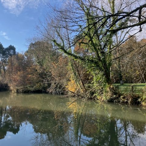 Camping Domaine du Lac - Charente-Maritime - Afbeelding N°6