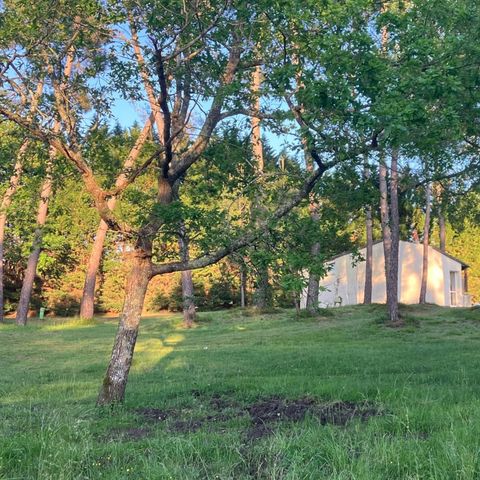 Camping Domaine du Lac - Charente-Maritime - Afbeelding N°5