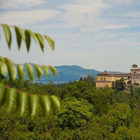 hu Firenze Certosa camping - Florence - Afbeelding N°5
