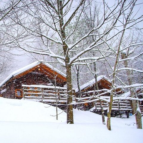 Bungalow 2 personen - Zen Bungalow