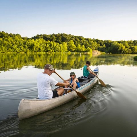 Dormio Hotel Der Seehof - Noordrijn-Westfalen - Afbeelding N°3