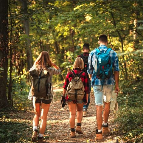 Dormio Hotel Der Seehof - Noordrijn-Westfalen - Afbeelding N°4