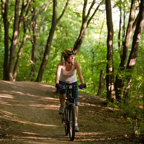 Dormio Hotel Der Seehof - Noordrijn-Westfalen - Afbeelding N°6