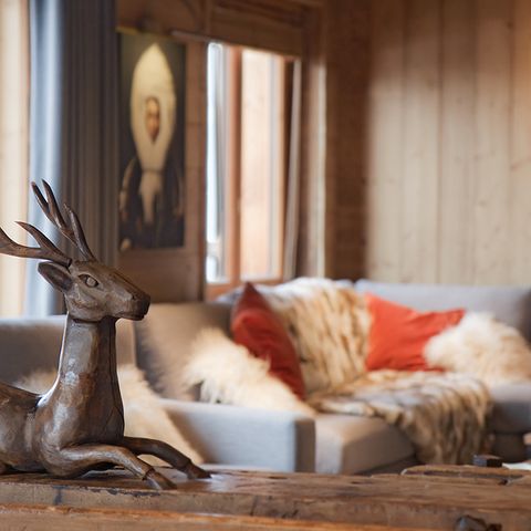 Chalet 14 personen - Chalet voor 14 personen (ca. 300 m²)