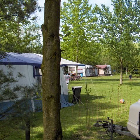 STAANPLAATS - Basis