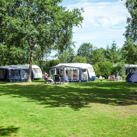 STAANPLAATS - Basis