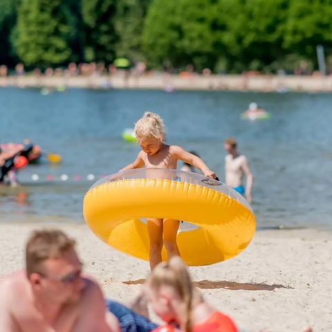 TopParken Resort Veldhoven - Veldhoven - Afbeelding N°3