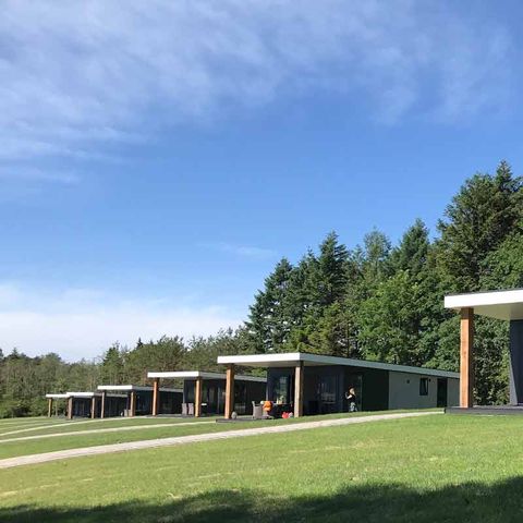 Bungalowpark Felsenhof - Rijnland-Palts - Afbeelding N°4