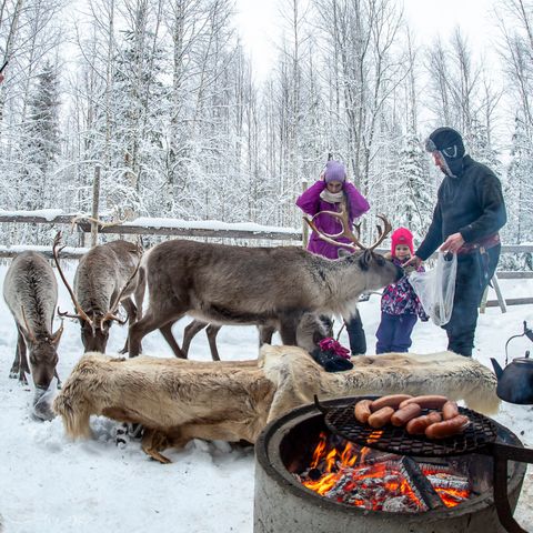 Valkeisen Loma - Central Finland - Afbeelding N°3