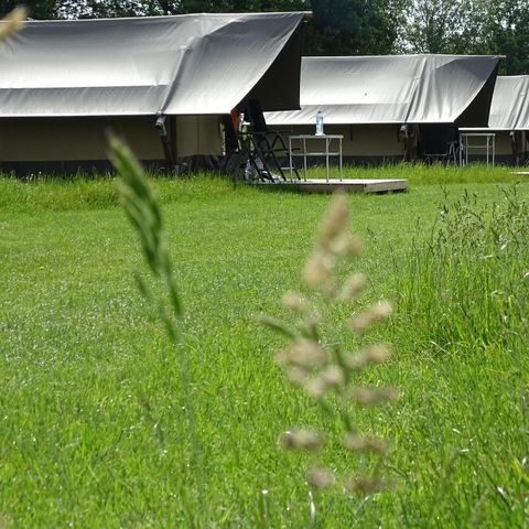 Safaritent 2 personen