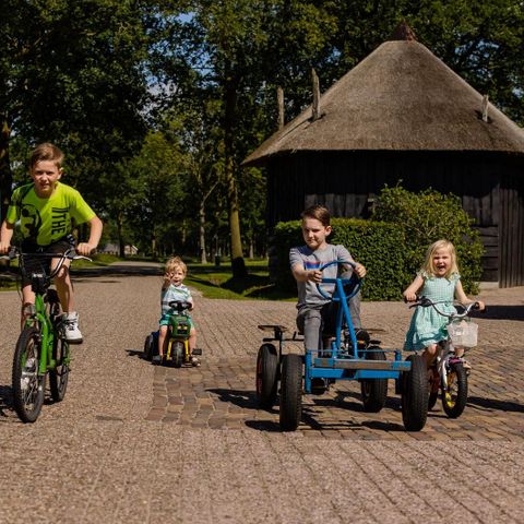  Charmecamping & Appartementen De Regge-Vallei  - Twenterand - Afbeelding N°2