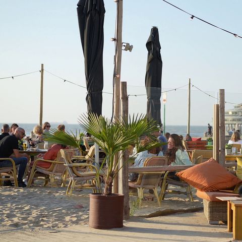 Roompot Beach Villa's Hoek van Holland - Rotterdam - Afbeelding N°4