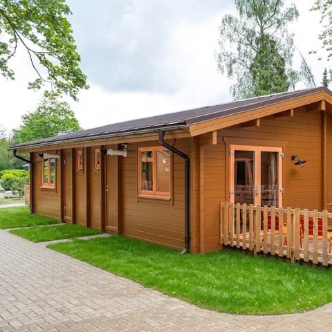 LODGE 6 personen - Woezel & Pip Babylodge