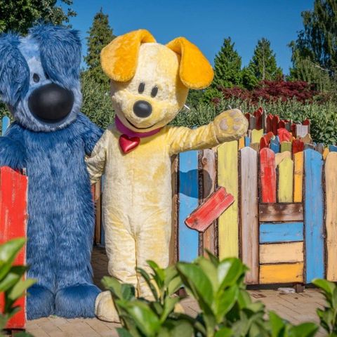 Familie Resort de Tovertuin - Woensdrecht - Afbeelding N°2