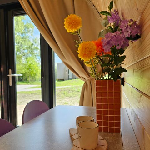 LODGE 2 personen - De Hagekrûper