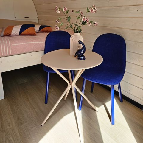 UNIEKE ACCOMMODATIE 2 personen - De Skierroek