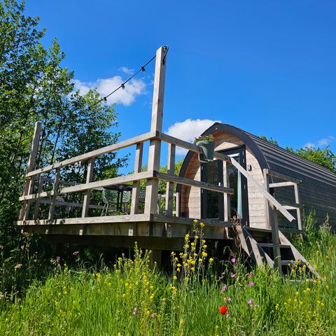 Tiny House 2 personen - De Skierroek